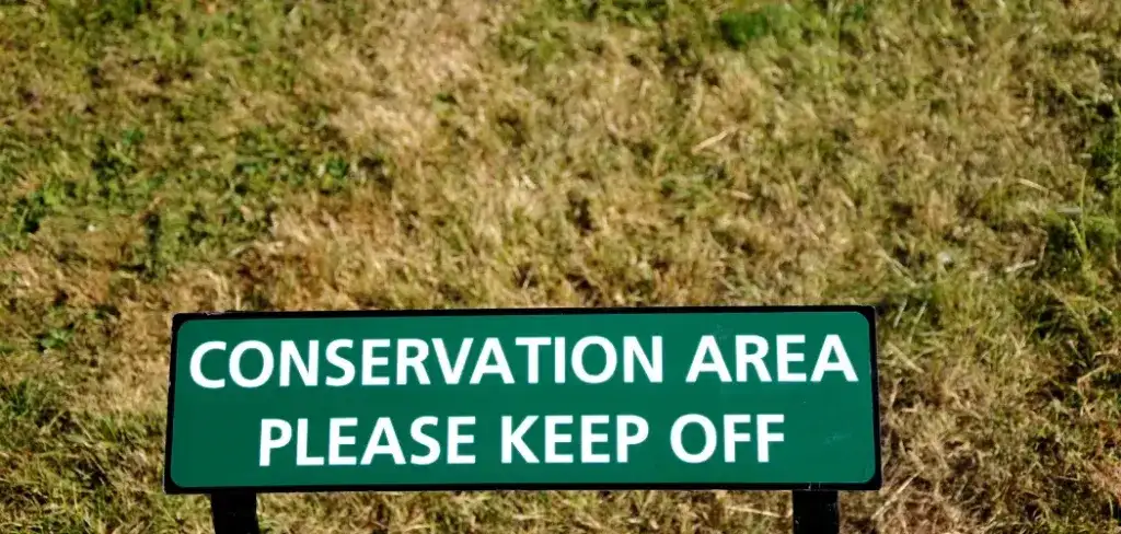 Solar Panels Conservation Area - Rules & Installation